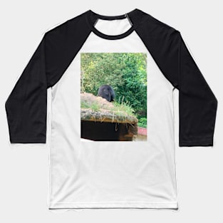 Bear Baseball T-Shirt